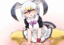 Rule 34 | 10s, 1boy, 1girl, bird tail, black-tailed gull (kemono friends), blush, breath, clothed sex, cowgirl position, dress, frilled dress, frills, girl on top, gradient background, grey hair, hair between eyes, head wings, hetero, kemono friends, long hair, motion lines, multicolored hair, open mouth, pantyhose, sex, short sleeves, simple background, solo focus, straddling, sweat, tail, tanaka kusao, white hair, wings, wristband, yellow eyes, yellow pantyhose