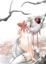 Rule 34 | 1girl, animal ears, autumn, between legs, female focus, flat chest, hat, inubashiri momiji, leaf, mouth hold, nude, pedodedo, solo, tail, tail between legs, thighhighs, tokin hat, touhou, white hair, wolf ears, wolf tail, yellow eyes