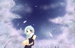 Rule 34 | bad id, bad pixiv id, bare shoulders, blue hair, blush, breasts, cherry blossoms, cleavage, detached sleeves, forest, green eyes, huge breasts, long hair, nature, otogi (s in w), outdoors, sky, solo, tree, wallpaper