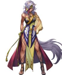 Rule 34 | 1girl, animal ears, artist request, dark-skinned female, dark skin, fire emblem, fire emblem: radiant dawn, fire emblem heroes, full body, hand on own hip, highres, nailah (fire emblem), nintendo, official art, pelvic curtain, see-through, solo, standing, tail, tattoo, toned, transparent background, wolf ears, wolf tail