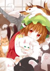 Rule 34 | 1girl, animal ears, brown hair, cat, cat ears, cat girl, cat tail, chen, earrings, hat, highres, japa, jewelry, mob cap, multiple tails, single earring, smile, solo, tabard, tail, touhou