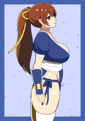 Rule 34 | 1girl, absurdres, breasts, dead or alive, gians noby, highres, kasumi (doa), large breasts, long hair, ponytail, solo