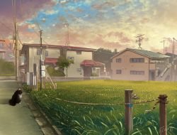 Rule 34 | black cat, cat, cloud, day, faucet, grass, hachiya shohei, highres, house, original, outdoors, power lines, rope, scenery
