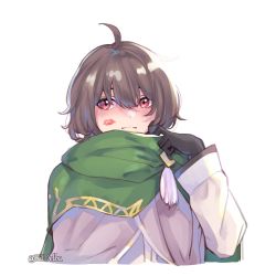 Rule 34 | 1boy, adjusting neckwear, ahoge, black gloves, blush, brown eyes, brown hair, cape, closed mouth, commentary, english commentary, fire emblem, fire emblem: the blazing blade, gloves, green cape, green scarf, hair between eyes, highres, lipstick mark, long sleeves, looking at viewer, male focus, mark (fire emblem: the blazing blade), nintendo, ritence, robe, scarf, short hair, simple background, solo, twitter username, white background, white robe