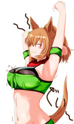 Rule 34 | 1girl, ^ ^, absurdres, animal ears, armband, armpits, arms up, bandana, bandeau, breasts, brown hair, cleavage, clenched hand, closed eyes, commentary request, detached sleeves, green armband, hair between eyes, highres, horse ears, large breasts, midriff, navel, ponytail, short hair, short sleeves, simple background, solo, stomach, stretching, taiki shuttle (umamusume), tail, tkka, umamusume, upper body, white background
