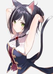 Rule 34 | 1girl, animal ear fluff, animal ears, black hair, cat ears, cat girl, cat tail, detached sleeves, dress, green eyes, highres, jacket, karyl (princess connect!), low twintails, misumi (macaroni), multicolored hair, princess connect!, purple jacket, simple background, sleeveless, sleeveless dress, solo, streaked hair, tail, twintails, white background