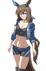 Rule 34 | 1girl, admire vega (umamusume), animal ears, belt, black shirt, black shorts, blue belt, blue jacket, blush, boots, bow, breasts, brown hair, cleavage, closed mouth, commentary request, crop top, cropped jacket, cropped shirt, ear covers, grey footwear, hair between eyes, highres, horse ears, horse girl, ishitsuma canon, jacket, large breasts, long hair, long sleeves, midriff, navel, open clothes, open jacket, ponytail, purple eyes, shirt, short shorts, shorts, simple background, single ear cover, solo, thigh boots, umamusume, very long hair, white background, white bow