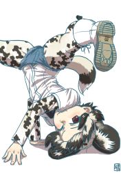 Rule 34 | 1girl, ;), african wild dog (kemono friends), african wild dog print, animal ears, black hair, bodystocking, boots, breakdance, brown hair, closed mouth, cutoffs, dancing, denim, denim shorts, dog ears, dog girl, dog tail, extra ears, fingernails, flexible, handstand, kemono friends, kishida shiki, layered sleeves, long sleeves, looking at viewer, medium hair, multicolored hair, one eye closed, print sleeves, shirt, shoe soles, short over long sleeves, short sleeves, shorts, simple background, smile, solo, spread legs, tail, two-tone hair, upside-down, white background, white hair, wide spread legs