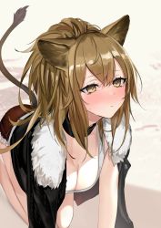 Rule 34 | 1girl, absurdres, all fours, animal ears, arknights, black choker, black jacket, blush, breasts, brown hair, choker, cleavage, closed mouth, commentary, eyelashes, feet out of frame, fur-trimmed jacket, fur-trimmed shorts, fur trim, hair between eyes, highres, jacket, lion ears, lion girl, lion tail, long hair, looking up, medium breasts, neko no youchuu, open clothes, open jacket, ponytail, red shorts, short shorts, shorts, siege (arknights), solo, sweatdrop, tail, tank top, white tank top, yellow eyes