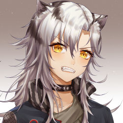 1girl animal_ears arknights bad_id bad_pixiv_id black_choker black_jacket blush choker clenched_teeth fangs gradient_background grey_background grey_shirt high_collar highres indra_(arknights) jacket long_hair looking_at_viewer portrait shao_(shaorouhong) shirt silver_hair solo teeth tiger_ears v-shaped_eyebrows yellow_eyes