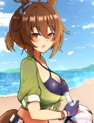 Rule 34 | 1girl, absurdres, agnes tachyon (lunatic lab) (umamusume), agnes tachyon (umamusume), ahoge, animal ears, bangle, beach, bikini, black bikini, black gloves, blush stickers, bracelet, breasts, brown eyes, brown hair, cleavage, commentary, criss-cross halter, ear ornament, flask, gloves, green jacket, hair between eyes, halterneck, highres, holding, holding flask, jacket, jewelry, large breasts, looking at viewer, messy hair, midriff, ocean, official alternate costume, official alternate hairstyle, outdoors, round-bottom flask, short hair, sideways, sky, solo, sudachiminorida, sweat, swimsuit, tail, tied jacket, umamusume, upper body