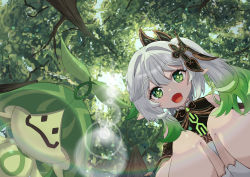 Rule 34 | 1girl, :d, absurdres, aranara (genshin impact), bloomers, blurry, commentary, depth of field, detached sleeves, dress, forest, from below, genshin impact, gradient hair, green eyes, hair between eyes, hair ornament, hatoinu, highres, long hair, looking at viewer, looking down, multicolored hair, nahida (genshin impact), nature, open mouth, pointy ears, short sleeves, side ponytail, sidelocks, smile, squatting, sunlight, symbol-shaped pupils, tree, underwear, white dress, white hair