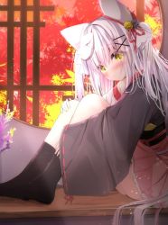 Rule 34 | 1girl, animal ears, autumn leaves, bell, black kimono, black socks, blush, closed mouth, commentary request, fox ears, fox mask, hair bell, hair between eyes, hair ornament, hair ribbon, hairclip, highres, japanese clothes, jingle bell, kimono, knees up, kouda suzu, long hair, long sleeves, looking at viewer, mask, mask on head, no shoes, nose blush, obi, original, pink skirt, pleated skirt, red ribbon, ribbon, ribbon-trimmed sleeves, ribbon trim, sash, shiyou (kouda suzu), silver hair, sitting, skirt, sleeves past wrists, smile, socks, solo, very long hair, white kimono, wide sleeves, x hair ornament, yellow eyes