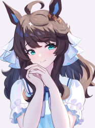 Rule 34 | 1girl, ahoge, alternate costume, animal ears, black hair, blue eyes, blush, brown hair, closed mouth, commentary request, daring tact (umamusume), dress, hair between eyes, hair ornament, highres, horse ears, horse girl, kashmir 0808, looking at viewer, medium hair, multicolored hair, own hands together, partial commentary, portrait, simple background, smile, streaked hair, umamusume, white background, white hair