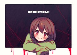 Rule 34 | 1other, androgynous, bad id, bad pixiv id, blood, blush, brown hair, chara (undertale), closed mouth, long sleeves, looking at viewer, oshiruko (tsume), red eyes, shirt, short hair, smile, solo, sweater, undertale