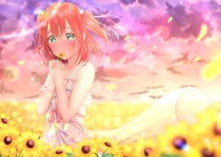 Rule 34 | 1girl, aqua eyes, artist name, artist request, bare shoulders, blue eyes, blush, collarbone, contrapposto, dress, feathers, female focus, flower, frilled shirt, frills, hair ornament, highres, holding, holding flower, kurosawa ruby, lilyparty07, looking at viewer, love live!, love live! sunshine!!, medium hair, red hair, shirt, short hair, smile, solo, star (symbol), star hair ornament, sundress, sunflower, white dress, yellow feathers