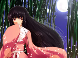 Rule 34 | 1girl, bamboo, bamboo forest, black hair, blunt bangs, bow, covering own mouth, female focus, forest, full moon, hand over own mouth, houraisan kaguya, long hair, moon, nature, petals, red eyes, solo, tohoho (hoshinoyami), touhou, very long hair, wallpaper, wide sleeves
