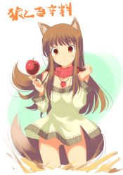 Rule 34 | 00s, animal ears, apple, bottomless, brown hair, food, fruit, holo, jewelry, long hair, necklace, no panties, pussy, solo, spice and wolf, tail, uncensored, wolf ears, wolf tail, yaegashi nan
