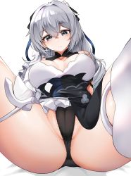 Rule 34 | 1girl, absurdres, ass, black dress, black panties, breasts, breasts apart, bronya zaychik, bronya zaychik (silverwing: n-ex), cameltoe, cleft of venus, closed mouth, collarbone, commentary, dress, english commentary, gr greeze, grey eyes, grey hair, hair between eyes, hair ornament, hair ribbon, highres, honkai (series), honkai impact 3rd, long hair, m legs, open mouth, panties, partially visible vulva, ribbon, simple background, single thighhigh, sitting, solo, thighhighs, thighs, underwear, white background, white dress, white thighhighs