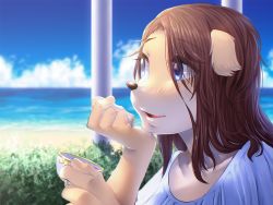 Rule 34 | 1girl, blue eyes, brown hair, cup, dog, furry, furry female, long hair, open mouth, original, parted lips, raizinndx, solo, teacup