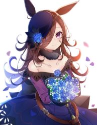 Rule 34 | 1girl, animal ears, bare shoulders, black hat, blue dress, blue flower, blue rose, blush, bouquet, brown hair, closed mouth, commentary request, dagger, dress, flower, hair over one eye, hat, hat flower, himemiya shuang, holding, holding bouquet, horse ears, knife, long hair, looking at viewer, off-shoulder dress, off shoulder, petals, purple eyes, rice shower (umamusume), rose, simple background, smile, solo, tilted headwear, umamusume, very long hair, weapon, white background