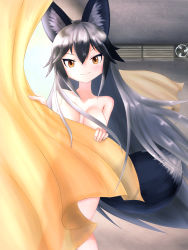 Rule 34 | 1girl, animal ear fluff, animal ears, artist request, blush, breasts, brown eyes, cleavage, collarbone, covering privates, fox ears, fox tail, hair censor, highres, indoors, kemono friends, long hair, looking at viewer, medium breasts, nude, see-through, see-through silhouette, silhouette, silver fox (kemono friends), silver hair, smile, solo, tail