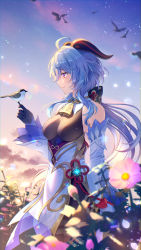 Rule 34 | 1girl, absurdres, ahoge, bare shoulders, bell, bird, black gloves, blue hair, bow, breasts, bshi edayo, chinese knot, detached sleeves, dusk, evening, flower, flower knot, ganyu (genshin impact), genshin impact, gloves, gold trim, gradient sky, highres, horns, light smile, long hair, looking at another, looking to the side, low ponytail, medium breasts, neck bell, orange sky, outdoors, petals, purple eyes, red rope, rope, sidelocks, sky, solo, standing, tassel, vision (genshin impact), white sleeves