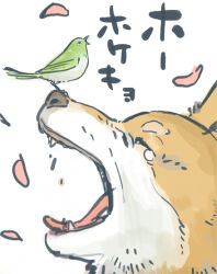Rule 34 | animal, animal focus, animal on head, arai youjirou, bird, bird on head, closed eyes, commentary request, dog, falling petals, from side, no humans, on head, open mouth, original, petals, profile, shiba inu, simple background, translation request, white background