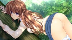 Rule 34 | 1girl, against tree, asami asami, ass, back, backboob, blue eyes, blush, breasts, brown hair, censored, clothes lift, female focus, forest, game cg, hayase chitose (pretty x cation), large breasts, long hair, long sleeves, looking back, mosaic censoring, nature, panties, panties around leg, pretty x cation 2, pussy, skirt, skirt lift, solo, standing, sweater, tree, underwear, white panties