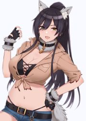 Rule 34 | 1girl, :d, animal ear fluff, animal ears, belt, black bra, black gloves, black hair, black panties, blue shorts, blush, bra, breast pocket, breasts, brown eyes, brown shirt, choker, cleavage, collar, collarbone, commentary request, crop top, cutoffs, denim, denim shorts, fang, fingerless gloves, front-tie top, fur collar, fur trim, gloves, hair between eyes, hand on own hip, hand up, high ponytail, highleg, highleg panties, highres, idolmaster, idolmaster shiny colors, large breasts, long hair, looking at viewer, midriff, mitsukazu (nijigen complex), navel, open mouth, panties, pocket, ponytail, shirase sakuya, shirt, short shorts, short sleeves, shorts, simple background, smile, solo, tail, tied shirt, torn clothes, torn shirt, underwear, upper body, white background, wolf ears, wolf tail, yellow eyes