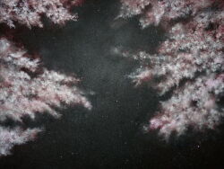 Rule 34 | black background, branch, cherry blossoms, dark, falling petals, mitzoka2001, no humans, original, painting (medium), petals, simple background, traditional media, tree