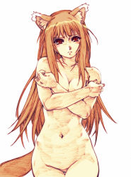 Rule 34 | 00s, 1girl, 2008, animal ears, breasts, brown hair, covering privates, covering breasts, cowboy shot, hisahiko, holo, long hair, nude, nude cover, red eyes, simple background, solo, spice and wolf, tail, thigh gap, thighs, uncensored, white background, wolf ears, wolf tail