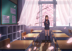 Rule 34 | 1girl, absurdres, black socks, blazer, blue jacket, bow, bowtie, brown eyes, brown hair, chair, cherry blossoms, classroom, commentary request, curtains, desk, diploma, graduation, highres, holding, indoors, jacket, kneehighs, long hair, long sleeves, original, plaid, plaid skirt, prachinabana, red bow, red bowtie, scenery, school, school chair, school desk, school uniform, shadow, shoes, skirt, smile, socks, solo, standing, uwabaki, white footwear, wide shot