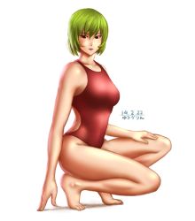 Rule 34 | 1girl, barefoot, breasts, competition swimsuit, dated, full body, green hair, kazami yuuka, large breasts, one-piece swimsuit, red eyes, red one-piece swimsuit, short hair, solo, squatting, swimsuit, taikyokuturugi, touhou