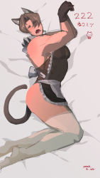Rule 34 | ace attorney, animal ears, apron, cat boy, cat ears, cat lingerie, cat tail, highres, maid, maid apron, male focus, meme attire, miles edgeworth, tail