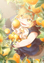 Rule 34 | 1boy, blonde hair, blue dress, blurry, child, commentary request, depth of field, dress, facial mark, food, from above, fruit, furrowed brow, gash bell, haru (skytrip), highres, konjiki no gash!!, male focus, open mouth, smile, solo, sparkle, yellow eyes