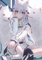 Rule 34 | 1girl, animal, animal ear fluff, animal ears, bae.c, bandaged fingers, bandaged hand, bandages, blue eyes, chain, closed mouth, commentary request, crop top, dog, dog ears, hair between eyes, hair ornament, hairclip, highres, jacket, long hair, looking at viewer, midriff, open clothes, open jacket, shirt, shoe soles, shoes, short shorts, shorts, sitting, solo, tsumi no hahen (debris), very long hair, white footwear, white hair, white jacket, white shirt, white shorts