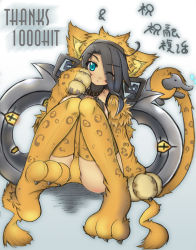 Rule 34 | 1girl, animal ears, animal hands, cat ears, gloves, ooji cha, paw gloves, paw shoes, shoes, solo, tail, thighhighs