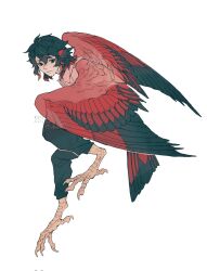 Rule 34 | 1boy, animal feet, artist name, bird legs, bird tail, bird wings, black hair, claws, closed mouth, collared shirt, colored tips, feathered wings, full body, green eyes, harpy boy, head wings, highres, looking at viewer, male focus, monster boy, multicolored hair, original, red hair, red shirt, red wings, shirt, short hair, shuini xiaomao, simple background, solo, tail, white background, wings