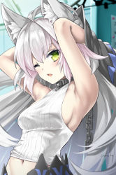 Rule 34 | 1girl, ahoge, animal ears, armpits, arms up, atalanta (fate), atalanta alter (fate), atalanta alter (first ascension) (fate), bare shoulders, blush, breasts, chain, fate/grand order, fate (series), green eyes, hair between eyes, long hair, looking at viewer, medium breasts, midriff, navel, one eye closed, parted lips, ribbed shirt, shirt, sideboob, silver hair, sleeveless, sleeveless shirt, solo, twitter username, tyone, very long hair, white shirt, wolf ears