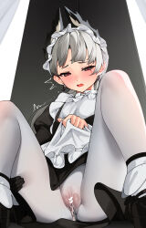 Rule 34 | 1girl, animal ears, apron, arknights, black dress, black gloves, blush, censored, dress, earrings, ett, female focus, gloves, grey eyes, grey hair, heart, heart censor, highres, impossible clothes, irene (arknights), jewelry, juliet sleeves, legs, long sleeves, looking down, lube, maid, maid apron, maid headdress, open mouth, pantyhose, puffy sleeves, pussy, pussy juice, scar, scar across eye, see-through, single glove, sitting, solo, white pantyhose