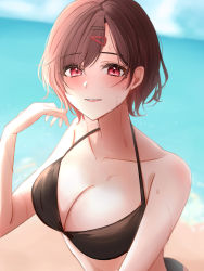 Rule 34 | 1girl, absurdres, amyu (amm asl pa), bad id, bad pixiv id, beach, bikini, black bikini, blue sky, blurry, blurry background, blush, breasts, brown hair, cleavage, cloud, cloudy sky, collarbone, commentary, day, hair between eyes, hair ornament, hairclip, halterneck, highres, higuchi madoka, idolmaster, idolmaster shiny colors, large breasts, lips, looking at viewer, mole, mole under eye, ocean, outdoors, parted bangs, parted lips, red eyes, short hair, sky, smile, solo, sweat, swimsuit, upper body