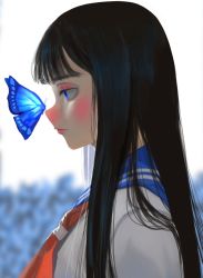 Rule 34 | 1girl, black hair, blue butterfly, blue eyes, blue sailor collar, blurry, blurry background, bug, butterfly, closed mouth, expressionless, from side, grey shirt, insect, long hair, neckerchief, orange neckerchief, original, portrait, profile, revision, sailor collar, school uniform, shirt, solo, yamamimio