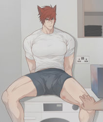 Rule 34 | 2boys, animal ears, bara, bulge, feet out of frame, highres, large pectorals, league of legends, looking at viewer, male focus, male underwear, manly, mature male, mobxsett, multiple boys, muscular, muscular male, pectorals, red hair, sett (league of legends), shelf, shirt, short hair, sitting, spiked hair, spread legs, t-shirt, thick arms, thick eyebrows, thick thighs, thighs, tight clothes, underwear, washing machine, yellow eyes