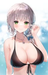 Rule 34 | 1girl, ayamy, bikini, black bikini, blue bow, bow, braid, braided ponytail, breasts, cleavage, closed mouth, commentary request, flower, green eyes, grey hair, hair bow, hair flower, hair ornament, hair over shoulder, highres, hololive, jewelry, large breasts, medium hair, necklace, revision, shirogane noel, smile, solo, swimsuit, upper body, virtual youtuber, wet