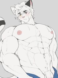 Rule 34 | 1boy, abs, bara, cat boy, cat tail, furry, furry male, grey background, heterochromia, highres, jcxraf, large pectorals, light blush, looking at viewer, male focus, motion lines, muscular, muscular male, navel, nipples, original, parted lips, pectorals, penis out of frame, short hair, solo, sweatdrop, tail, white hair