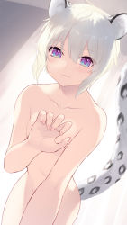 Rule 34 | 1girl, :3, animal ears, breasts, cait aron, cat tail, commentary, completely nude, grey hair, indie virtual youtuber, kusubashi shiya, leopard ears, leopard tail, looking at viewer, navel, nude, purple eyes, small breasts, smile, solo, tail, virtual youtuber