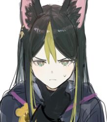 Rule 34 | 1boy, alternate hair length, alternate hairstyle, animal ear fluff, animal ears, black gloves, black hair, blush, bright pupils, brown eyes, closed mouth, commentary, earrings, eyelashes, flower, fox boy, fox ears, frown, genshin impact, gloves, gradient eyes, green eyes, green hair, hair between eyes, hand on own chin, hand up, hood, hood down, hoodie, jewelry, long hair, looking at viewer, male focus, multicolored eyes, multicolored hair, nokoru sora, sidelocks, single earring, sketch, solo, sweatdrop, symbol-only commentary, tighnari (genshin impact), two-tone hair, upper body, v-shaped eyebrows, white background, white pupils, yellow flower