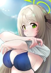 Rule 34 | 1girl, absurdres, bikini, bikini top only, bikini under clothes, bird, blue archive, blue bikini, blue bra, blush, bow, bra, breasts, brown hair, clothes lift, cloud, day, female focus, green eyes, hair bow, hair bun, hair ribbon, halo, highres, large breasts, lens flare, lifted by self, long hair, looking at viewer, nonomi (blue archive), one side up, open mouth, outdoors, ribbon, seagull, shirt, shirt lift, short sleeves, single hair bun, sky, solo, swept bangs, swimsuit, tananne, underwear, undressing, upper body, white shirt