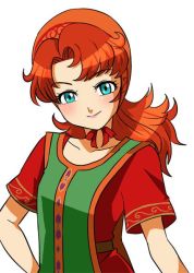 Rule 34 | 1girl, blue eyes, breasts, closed mouth, curly hair, dragon quest, dragon quest vii, hood, long hair, looking at viewer, maribel (dq7), orange hair, simple background, smile, solo, white background, yutsuki l
